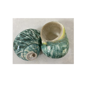 Coquille de conque décorative naturelle fournie par le Vietnam par 99 Gold Data pour l'artisanat de cadeaux et les applications murales - Product Image 5