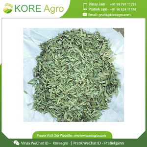 ใบมะขามีนนาธรรมชาติตัดได้ในราคาที่ดีที่สุดในตลาด - Product Image 6