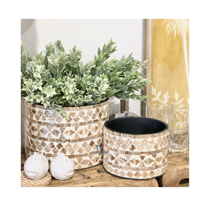 ขายส่งกระถางเปลือกหอยสำหรับปลูกต้นไม้ ตกแต่งร้านอาหารและโรงแรม กระถางเปลือกหอยมุก กระถางปลูกต้นไม้สำหรับสวน - Product Image 6