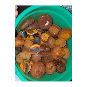 Cálculos Biliares de Vaca, Cálculos Biliares de Buey, Extracto Animal - Product Image 1