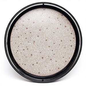 Placa cargadora de resina plateada iluminada por la luna con bordes esmerilados y brillo sutil para un ambiente elegante de comedor nocturno - Product Image 3