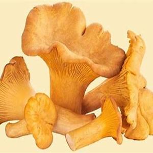 100% Champignon frais surgelé naturel à vendre à des prix modérés - Product Image 1