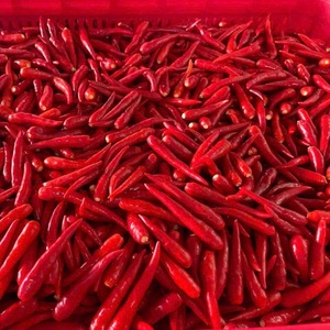 Hortalizas cultivadas en invernadero de alto nivel picante de Chile rojo largo estilo fresco congelado - Product Image 6