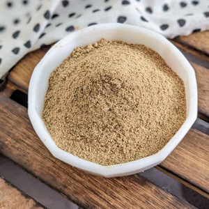 Prix le plus bas poudre d'extrait de mangue naturelle excellente qualité poudre pure de mangues approvisionnement en vrac - Product Image 4