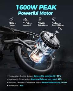 OFERTAS Y DESCUENTOS PARA Bicicleta Eléctrica Romeo Pro 4000W de Doble Motor con Envío Gratuito - Product Image 5