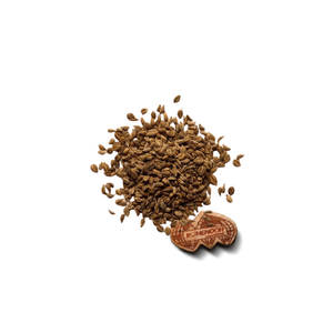 Ajwain (carambola) | Fresco y limpio | Ingrediente multiuso - Product Image 1