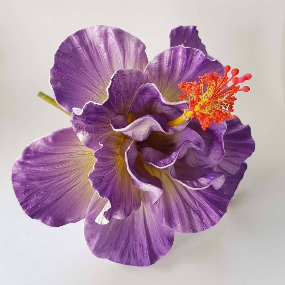 สีม่วงสีเหลือง