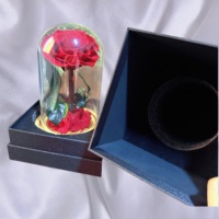 Roses éternelles préservées en dôme de verre avec lumières LED pour la Saint-Valentin, cadeaux d'anniversaire, décoration romantique pour la maison
