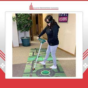 Vision fatale-Trousse de campagne éducative sur la somnolence et la distraction au volant Pack de huit activités différentes au meilleur prix du Canada - Product Image 5