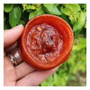 Kakis séchés de qualité supérieure séchés au soleil, texture moelleuse douce, naturellement sucrée, collation parfaite pour tous les âges, choix idéal pour les boîtes cadeaux - Product Image 6