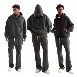 Sweats à capuche en coton épais et uni pour hommes, taille plus, anti-rétrécissement, surdimensionné, poids lourd 380 - 500gsm vierge - Product Image 1