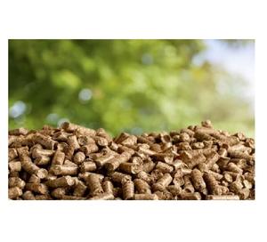 Granulés de bois de qualité supérieure à vendre fabriqués à partir de sources durables pour des solutions de chauffage respectueuses de l'environnement - Product Image 4