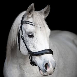 Haute qualité nouvelle bride de cheval multicolore en cuir véritable Snaffle en pleine taille en gros équipement de cheval noir - Product Image 6