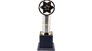 Trofeo estrella de diseñador empresarial de fabricante indio, trofeo de diseñador empresarial para premios escolares, trofeo de uso de la India - Product Image 5