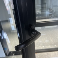 Ventanas Francesas Abatibles de Aluminio con Protección Contra Huracanes, Color Negro, Apertura Exterior, con Mosquiteras para Casa