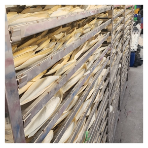 ผู้ส่งออกที่เชื่อถือได้ของกระดูกปลาหมึกพรีเมี่ยมสำหรับบริษัทจัดหานกฟาร์มสัตว์เลื้อยคลานผู้จัดจำหน่ายอาหารสัตว์เลี้ยงทั่วทั้งทวีป - Product Image 2