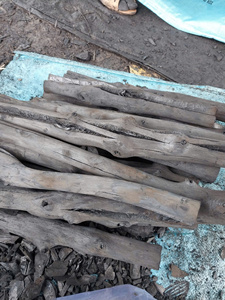 Charbon de bois d'eucalyptus du Vietnam Bâton cylindrique en bois pour la cuisson en plein air - Product Image 2