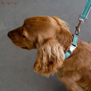 Correa de Adiestramiento para Perros de Cuero Vacuno de Lujo, Ajustable, con Hebilla de Metal y Anillo en O, Cómoda, de Alta Calidad, Superventas 2026 - Product Image 2