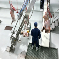 Floveme — ligne d'abattoir à la chèvre, équipement pour la Machine d'abattoir à la chèvre