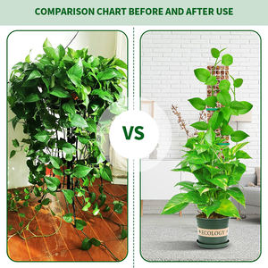 Poste de musgo modular en forma de D, recubierto de plástico, de 48 pulgadas, extensible con sistema de encaje a presión, para invernadero, soporte sencillo para plantas - Product Image 6