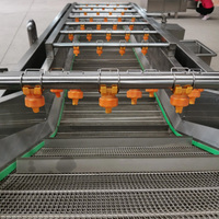 Fruit- en groentewasmachine met bubbelborstel, energiezuinig, commerciële wasmachine voor groenteverwerkingsbedrijven en maïsverwerking