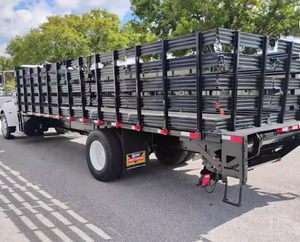 PRÊT À EXPÉDIER Camion Utilitaire Diesel Manuel d'Occasion 2019 330 Transport de Marchandises Commercial - Product Image 3