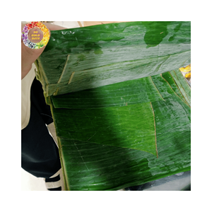ใบกล้วยคุณภาพสูง 100% ธรรมชาติ สดใหม่ เป็นมิตรกับสิ่งแวดล้อม และเป็นผลิตภัณฑ์ทางการเกษตรที่ส่งออกจากเวียดนามสำหรับห่ออาหาร - Product Image 2