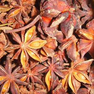 Anís estrellado de alta calidad de Vietnam, especias secas procesadas crudas para condimentos, gran oferta, nuevo cultivo listo para la exportación - Product Image 1