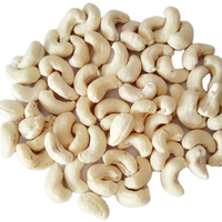 Goedkope Bulk Gemaakt In Vietnam-Producten Anacardiumnoot Sp Lp Ws Lwp Witte Mundhiri Rauwe Nootsnacks Gedroogde Cashewnoten
