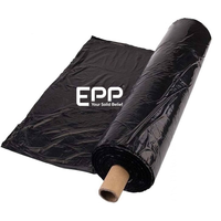 Film de paillis en plastique argenté de haute qualité jardinage agriculture EPP Vietnam tomate pomme de terre culture couverture du sol dégradable humidité viande