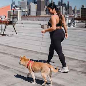 <b>3</b> Pack Custom Plus <b>Size</b> <b>Trainer</b> <b>Women</b> Workout Gym Corset Yoga Pants Abdomen Compression High Waist Shapewear Leggings Yoga - Product Image 3