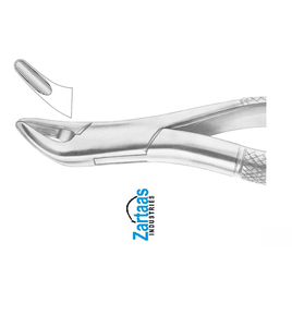 Forceps dentaires en acier inoxydable de haute qualité pour l'extraction des incisives, des premiers molaires et des dents de lait, fig. 62 - Product Image 1