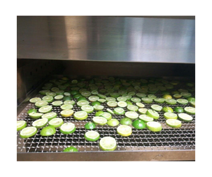 Rebanada de limón seco de alta calidad 100% Ingrediente natural Venta al por mayor Grado Premium de 99GD - Product Image 5