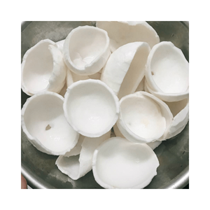 VIANDE DE NOIX DE COCO CONGELÉE-NOIX DE COCO CONGELÉE ORIGINE VIETNAM DE 100% NOIX DE COCO FRAÎCHE DE HAUTE QUALITÉ - Product Image 5