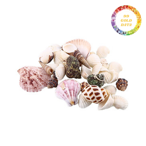 Decorative Seashells From Viet Nam | Packed In Mesh <b>Bags</b> | Bulk Supply for Home, Garden, Event Decor and Souvenir - Product Image 6