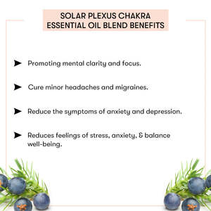 Huile Essentielle Thérapeutique Pressée à Froid pour le Plexus Solaire et les Chakras – Mélange d'Huiles Essentielles Ylang-Ylang, Bois de Santal, Bergamote, Arbre à Thé pour le Corps - Product Image 6