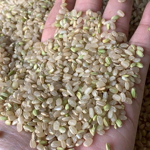 Arroz Fresco Integral de Grano Corto al por Mayor de los Países Bajos, Incluyendo Arroz Basmati, Jazmín, Sella y Arroz Parboiled, Cultivo Sin OGM, Calidad Superior - Product Image 6