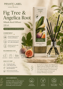 Private Label Fig Tree & Angelica Root Botanical <b>Reed</b> <b>Diffuser</b> 100ml OEM | Alcohol Free Mikado Home Fragrance | Spain EU - Product Image 3