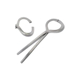 Probador de pezuñas de etiqueta personalizada, herramientas veterinarias equinas de caballo herrador de 13 pulgadas, instrumentos, el probador de pezuñas más barato - Product Image 5