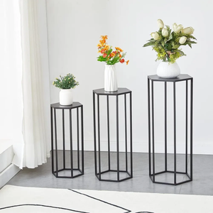 Hexagone Métal Plante Stand Noir À La Main Poli Moderne Vintage Style Long/Moyen/Court Pots De Fleurs pour La Maison Jardin Décor Cadeau - Product Image 1