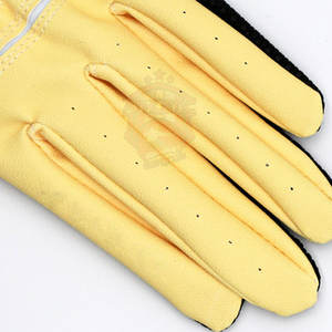 Fabricante de Pakistán 2025 Guantes de golf para todo clima El mejor precio en hombres Guantes de golf para todo clima - Product Image 4