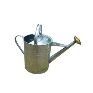 Offre Spéciale Arrosoir Vase à fleurs en métal Arrosoir Couleur métal Arrosoir Bouilloire Pour La Maison Jardin Utilisation Quotidienne - Product Image 3
