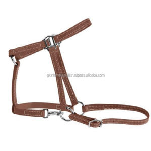 Dos de cheval rembourré en cuir marron extra-épais et double couture personnalisé avec accessoires de quincaillerie en laiton réglables - Product Image 5