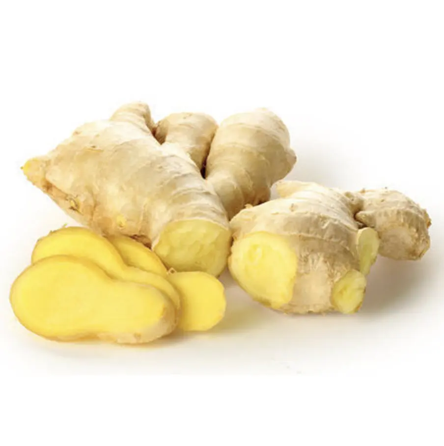 GINGER AMARELO FRESCO E LIMPO NOVA COLHEITA JOVEM GINGER PARA POBER E COZINHA FORTE DE SABOR PICANTE