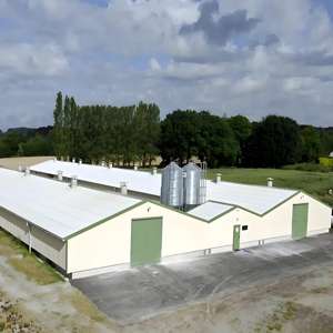 โรงเรือนเลี้ยงไก่เนื้อ/ไก่ไข่<span class=keywords><strong>ขนาด</strong></span>ใหญ่ - โรงเรือนสัตว์ปีกสำเร็จรูปโครงเหล็กชุบสังกะสี - Product Image 5