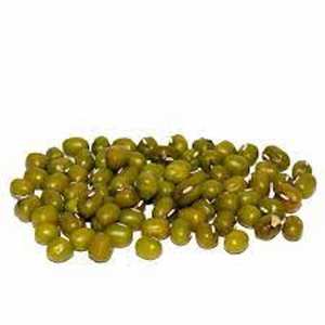 Frijol mungo seco Frijoles verdes Bolsas de PP 2022 Cultivos listos para exportar - Product Image 4