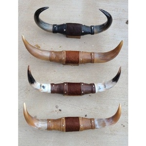 Long Horn Home Decor pour le style ranch et cabine - Product Image 1