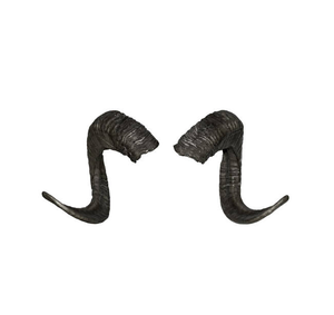 แตรแพะธรรมชาติสำหรับตกแต่ง - Product Image 5