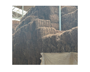 ต้นหญ้าเจลลี่สีดำอบแห้งวัสดุจากใบเจลลี่อบแห้งทำจากพืชจากเวียดนาม - Product Image 4