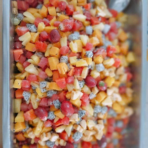 MÉLANGE DE FRUITS CONGELÉS TROPICAUX-ANANAS, MANGUE, PAPAYE ET FRUITS DU DRAGON - Product Image 5